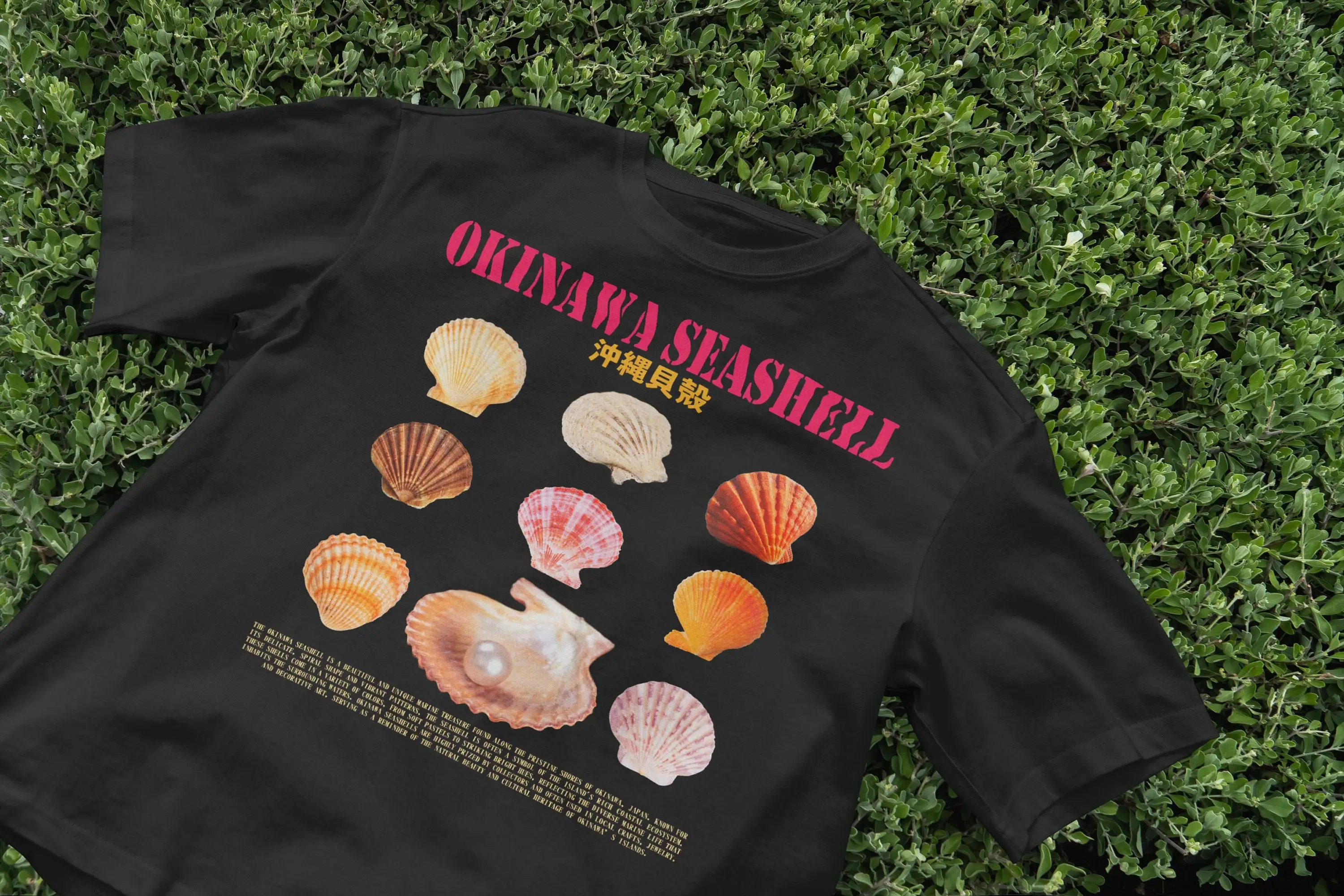 T-shirt coquillage Okinawa, st - Japanese Man Lifestyle avis et prix